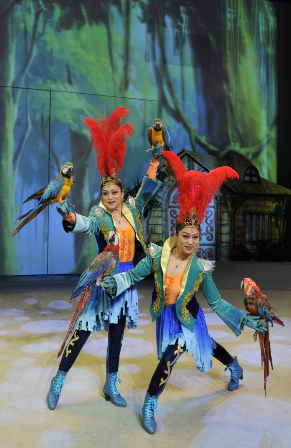 上海马戏城杂技团欢乐马戏门票到底有哪些野生动物精彩亮相